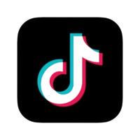 TikTok Icon